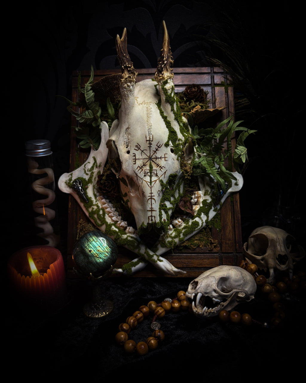 Vegvísir | handmade roe deer skull relic with pyrography — Vegvísir runic compass and Nordic runes, moss, ferns, mushrooms and raven motifs on wooden frame | Morbid Oddities
