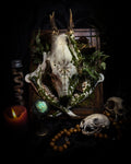 Vegvísir | handmade roe deer skull relic with pyrography — Vegvísir runic compass and Nordic runes, moss, ferns, mushrooms and raven motifs on wooden frame | Morbid Oddities

