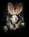 Pina Colada whimsical shadowbox — cat skull with rabbit fur ears, rose quartz orb, sword pendant and ornate silver frame