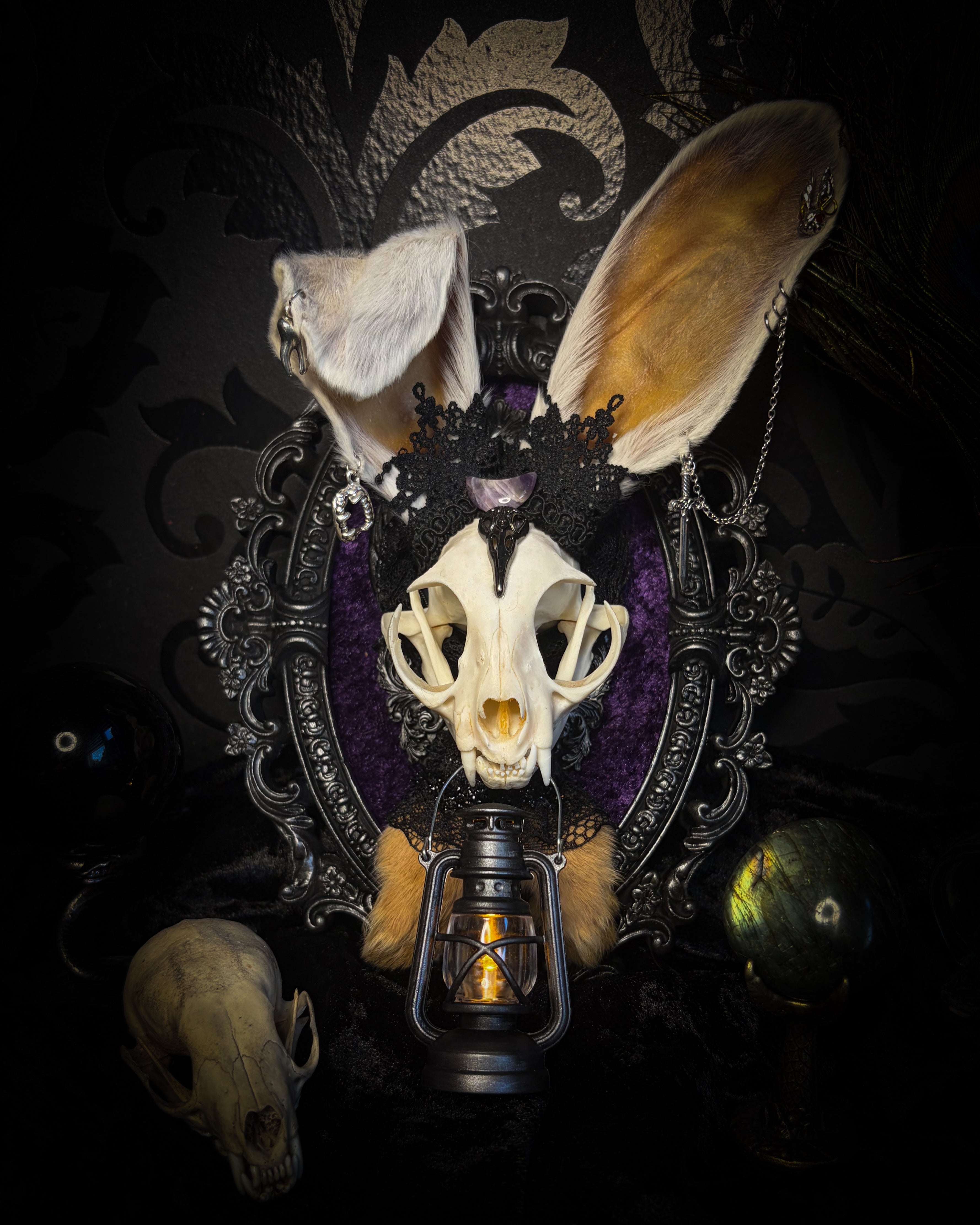 Limbo whimsical frame — cat skull with mismatched rabbit fur ears (one standing, one folded), amethyst moon, crow skull, working lantern and ornate black baroque frame