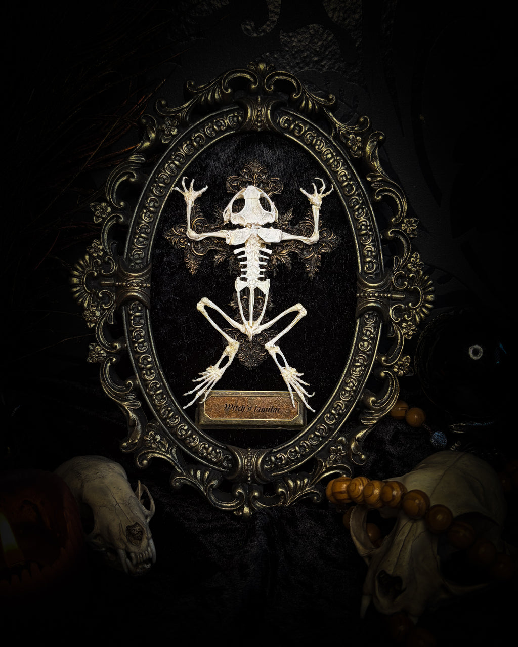 Witch's Familiar | Gothic — real preserved toad skeleton in hand-cast antique gold baroque oval frame on black crushed velvet, hand-painted cross and antiqued plaque, Morbid Oddities

