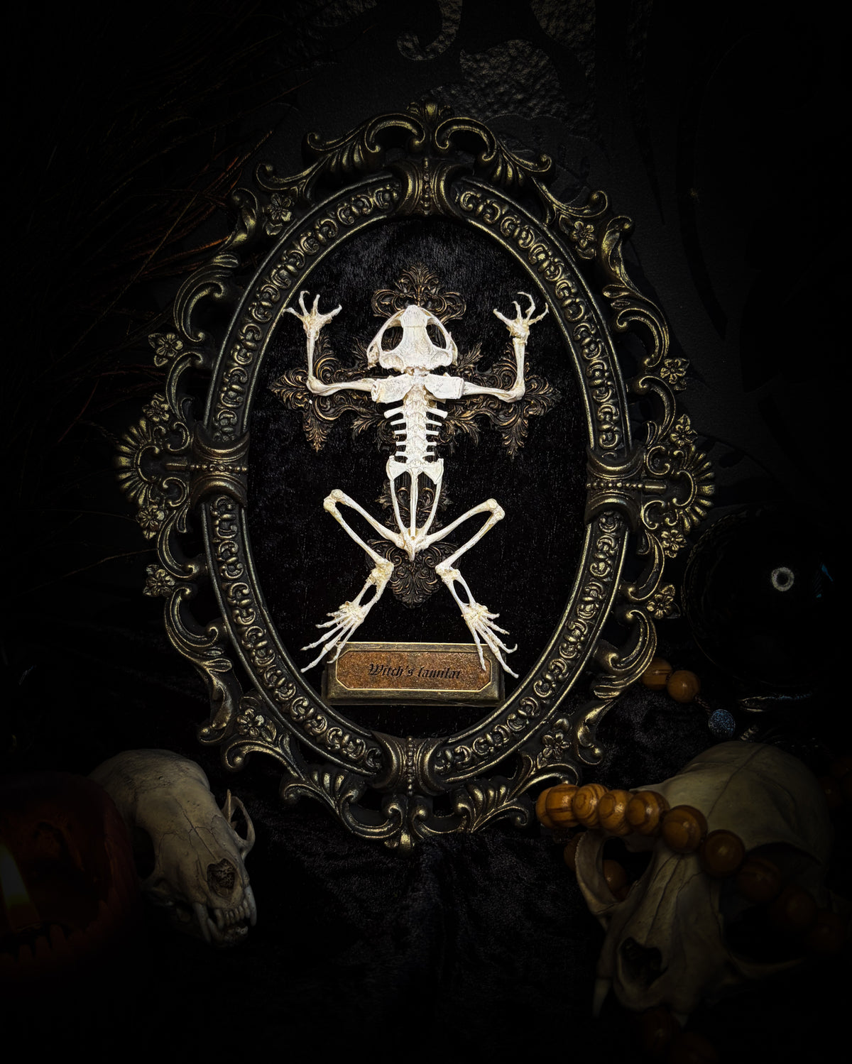 Witch's Familiar | Gothic — real preserved toad skeleton in hand-cast antique gold baroque oval frame on black crushed velvet, hand-painted cross and antiqued plaque, Morbid Oddities

