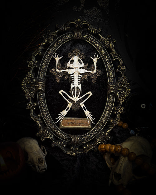 Witch's Familiar | Gothic — real preserved toad skeleton in hand-cast antique gold baroque oval frame on black crushed velvet, hand-painted cross and antiqued plaque, Morbid Oddities

