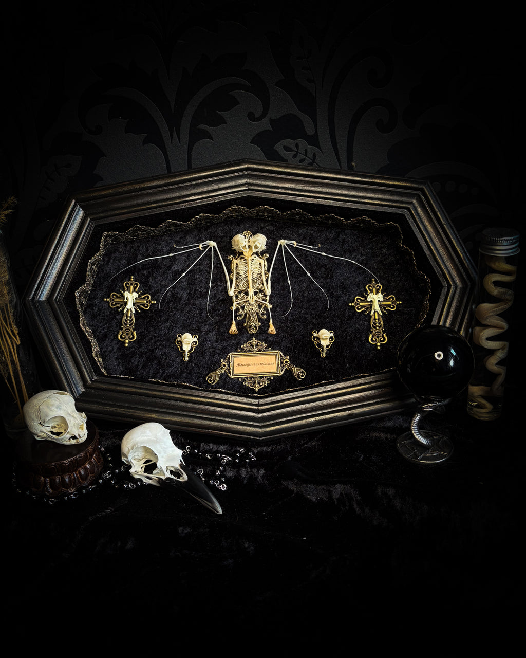 Vampiria — handmade gothic shadowbox, made to order. Two-headed bat skeleton on velvet background in wooden frame with ornate decorations, miniature bats and Latin species nameplate. Dark macabre wall decor, 28x23cm.