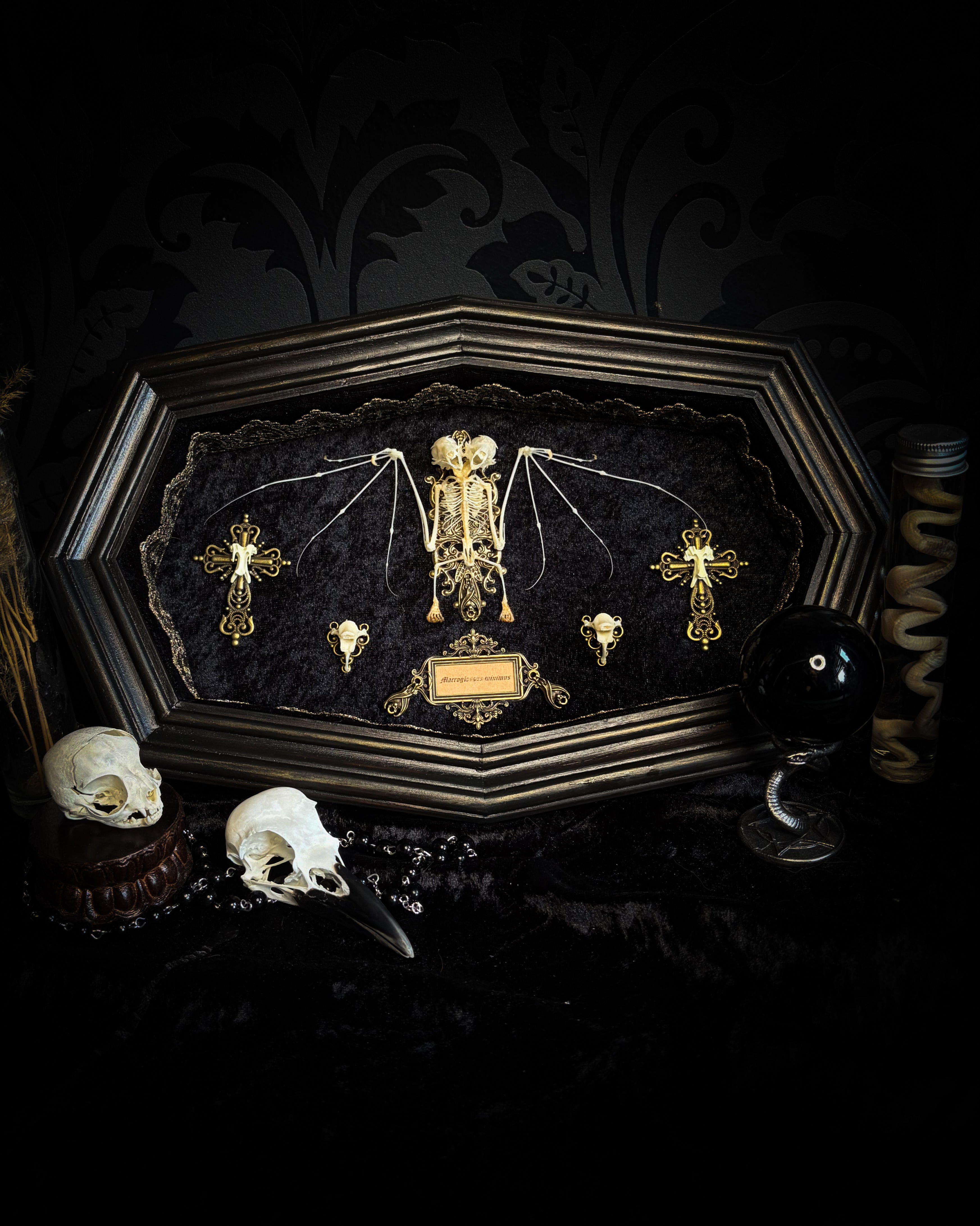 Vampiria — handmade gothic shadowbox, made to order. Two-headed bat skeleton on velvet background in wooden frame with ornate decorations, miniature bats and Latin species nameplate. Dark macabre wall decor, 28x23cm.