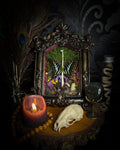 Dongterfly | Whimsical