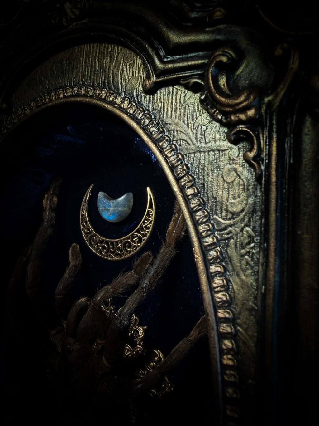 Sophistication — handmade gothic shadowbox, made to order. Real tarantula specimen on velvet background in ornate vintage-style frame with crystal accents and hand-finished metallic ornaments. Dark collectible wall decor, 22x30cm.