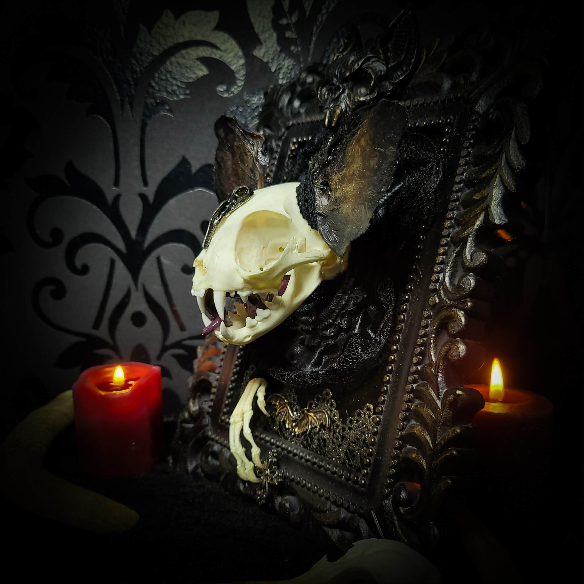 Bunny Kitten — handmade gothic shadowbox, made to order. Real cat skull with preserved bunny ears and paws, set on velvet background in ornate hand-finished frame with lace and decorative details. Dark whimsical collectible decor.