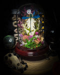 Fugax Prati Memoria — handmade glass dome with rabbit skull, demoiselle, wasp, snake skin, moss and dried flowers — Morbid Oddities