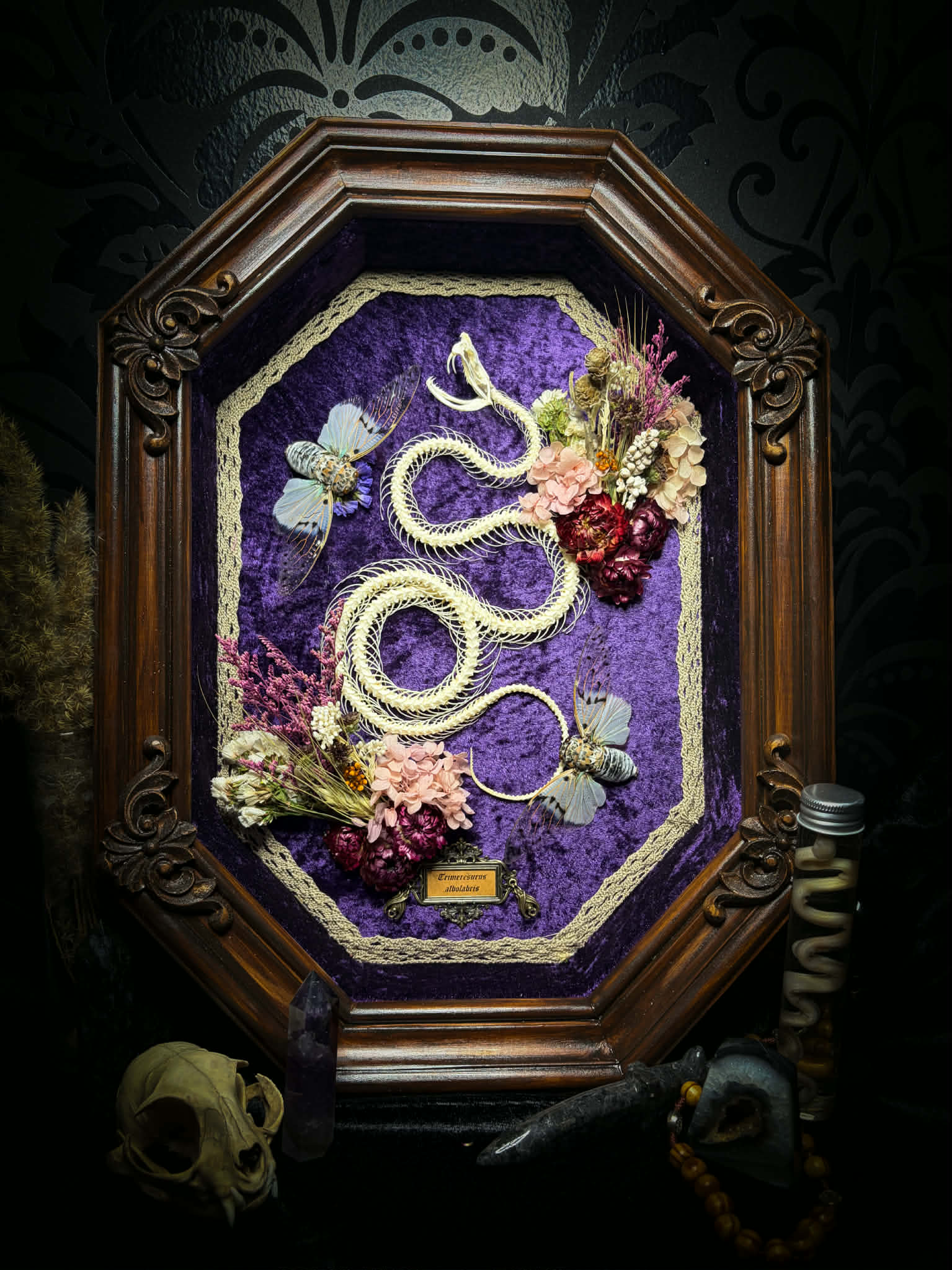 Gothic shadowbox — articulated snake skeleton on deep violet velvet, preserved florals, ghost cicadas, baroque wooden frame with gold accents, 45x35cm