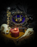 Felis Daemonium — handmade gothic shadowbox, made to order. Stylized cat head with horns, hand-cast and hand-painted, set on velvet background in ornate baroque frame. Occult wall decor, 12x10cm.