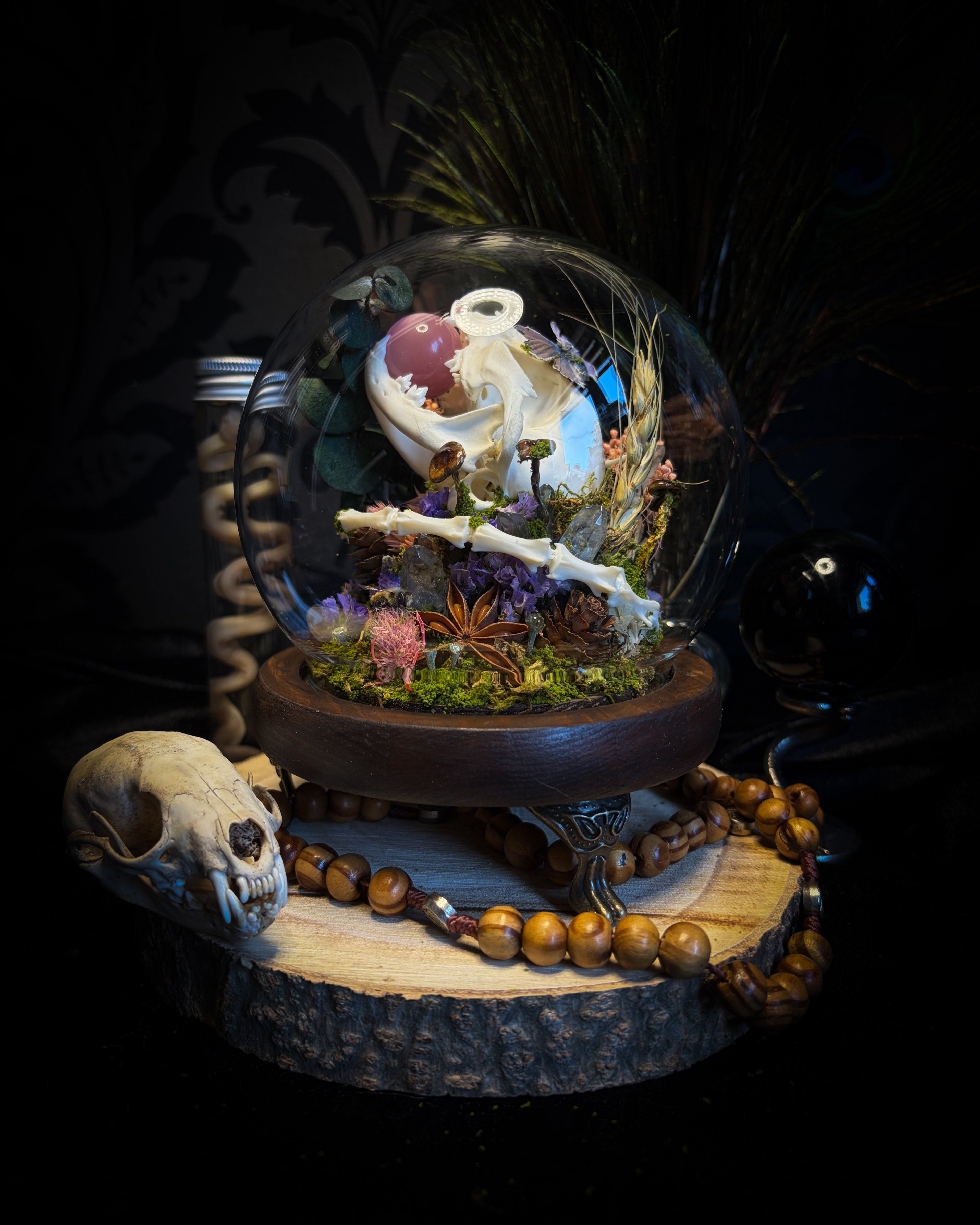 Handmade woodland shadowbox — kitten skull with pink quartz in glass dome, moss, dried flowers and crystals, fairytale gothic decor, 18x16cm