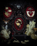 Triptych — handmade gothic triptych shadowbox, made to order. Set of 3 conjoined ornate gothic frames with real bones, skulls and decorative elements, fully hand-assembled. Dark collectible wall decor commission by Morbid Oddities.
