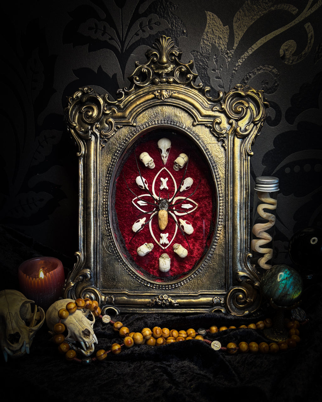 Ossuary Maswerk | handmade gothic shadowbox with Nephilia vitiana spider, real animal skulls and bones in bone maswerk, crimson velvet | Morbid Oddities
