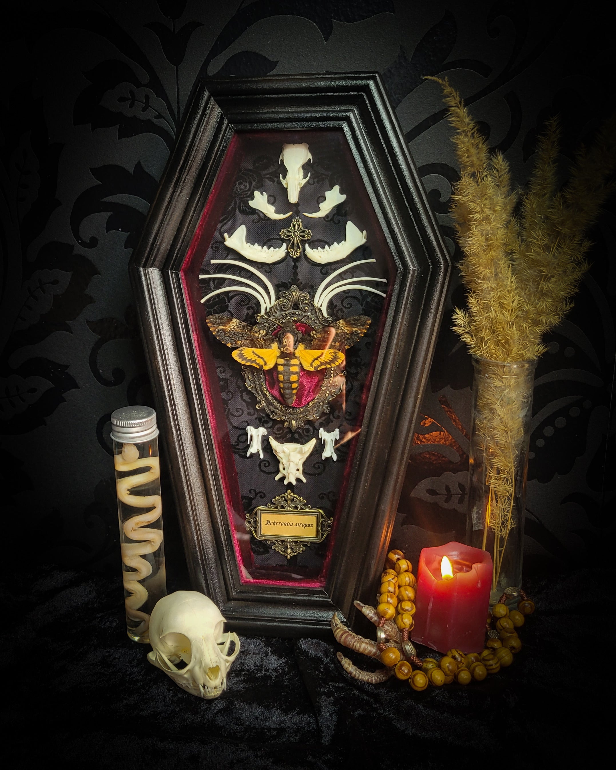 Moth Wooden Coffins — handmade gothic coffin shadowbox, made to order. Real death's-head moth (Acherontia atropos) in handbuilt wooden coffin frame with velvet background, bones, metallic ornaments and ritua