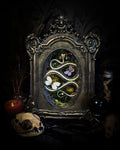Decorative frame with a snake and butterfly design on a dark background. Whimsical Marshland — handmade gothic shadowbox with real snake skeleton, preserved butterflies Pieris rapae & Polyommatus icarus, moss and fungi in baroque gold frame | Morbid Oddities