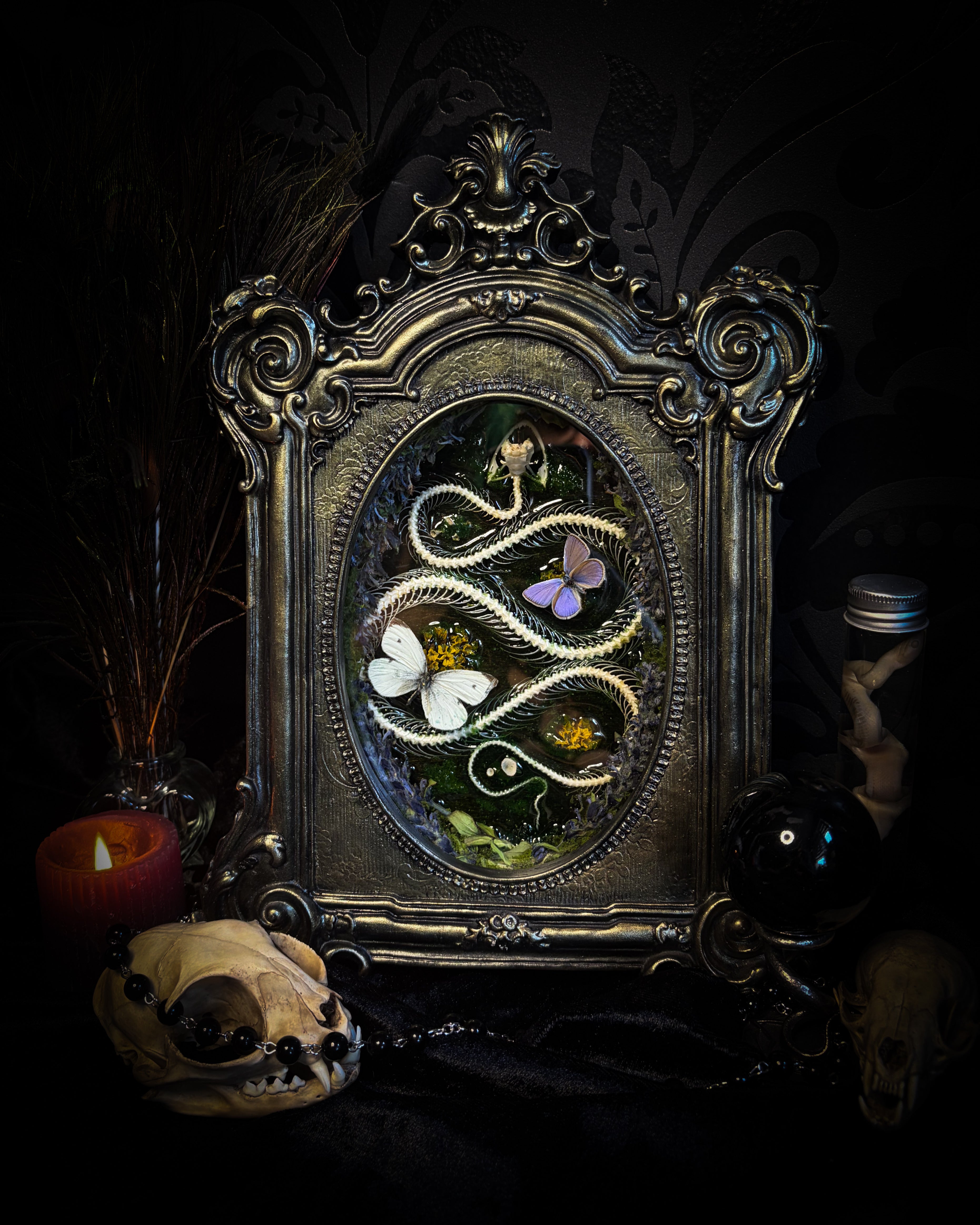 Decorative frame with a snake and butterfly design on a dark background. Whimsical Marshland — handmade gothic shadowbox with real snake skeleton, preserved butterflies Pieris rapae & Polyommatus icarus, moss and fungi in baroque gold frame | Morbid Oddities