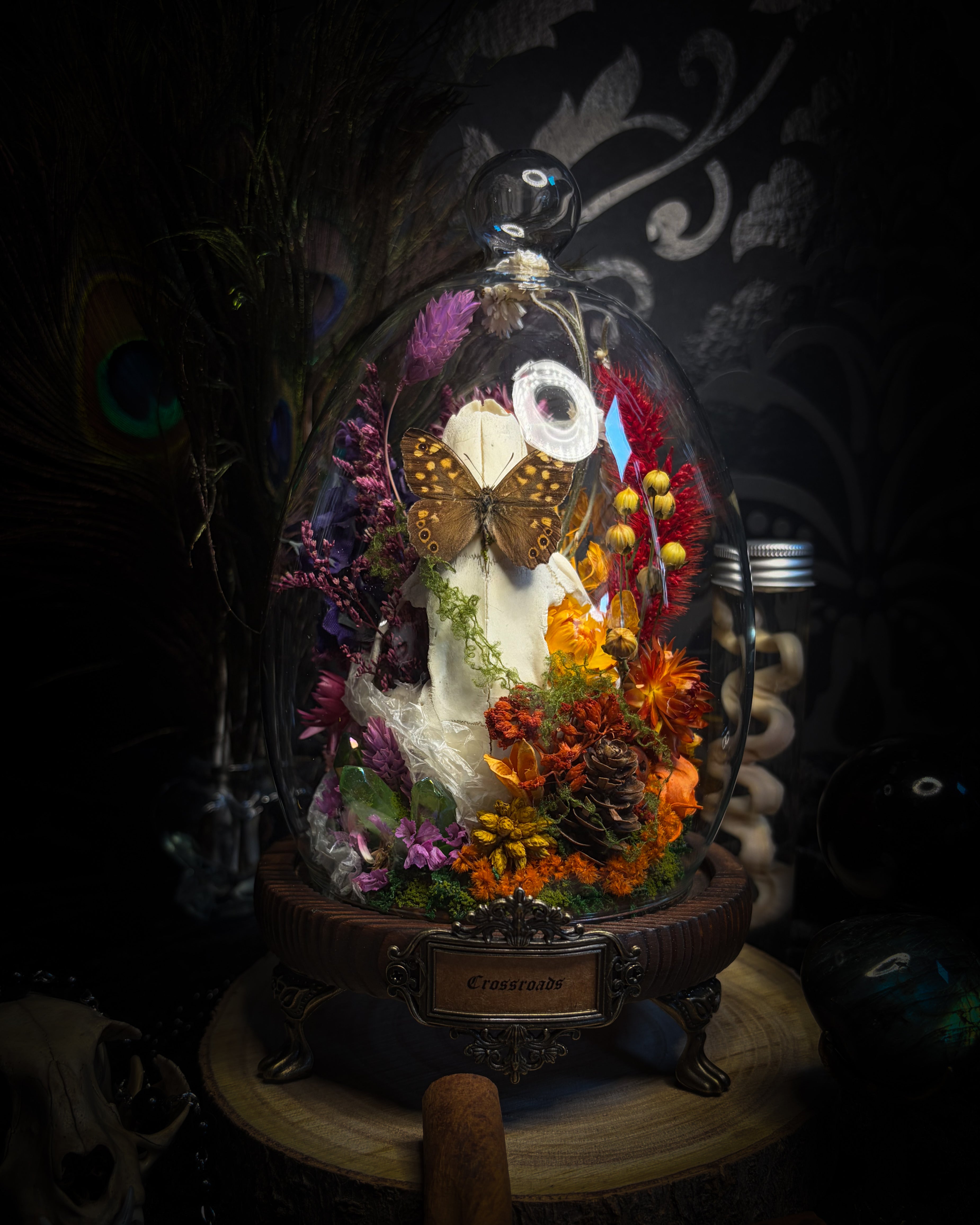 Handmade whimsical glass dome with nutria skull, Speckled Wood butterfly, summer and autumn botanicals, carved pumpkin and fluorite — Crossroads by Morbid Oddities
