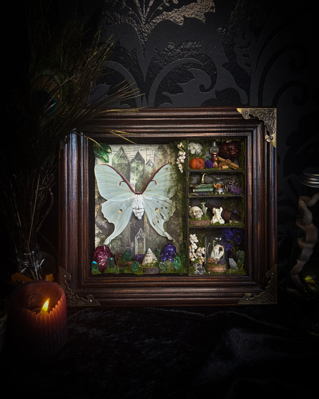 The Alchemist | handmade witchy shadowbox with Actias luna moth, green crystals, snake skin bottle, glass dome, oil lamp and curiosities, dark wood frame with brown velvet and moth corner brackets | Morbid Oddities
