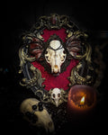 Handmade gothic wall decor with real mink skull, hand-cast bat wings, red velvet and gold frame — Malachar by Morbid Oddities