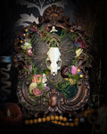 The Verdant Shrine | Whimsical — handmade gothic frame with mink skull, preserved bird wings, moss and dried flowers