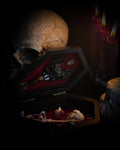 Count Mousula | Vampires — handmade gothic coffin display with preserved mouse skeleton, mummified heart, small skulls and bones on deep red velvet interior with lace ornaments, hinged lid, 15.5x9cm