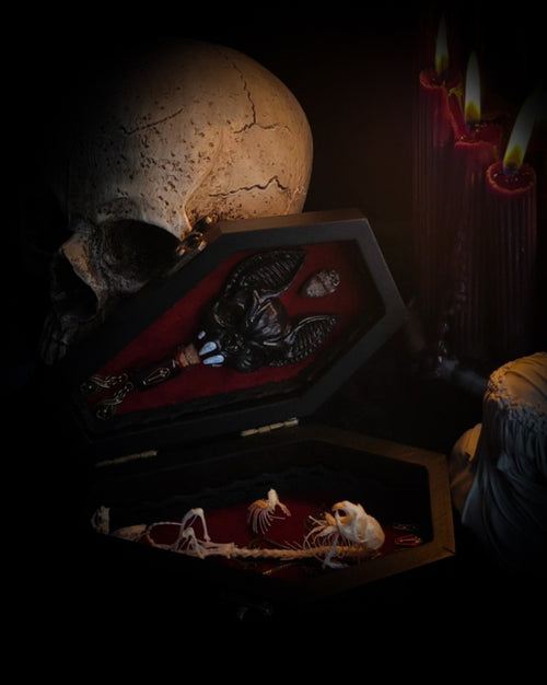 Count Mousula | Vampires — handmade gothic coffin display with preserved mouse skeleton, mummified heart, small skulls and bones on deep red velvet interior with lace ornaments, hinged lid, 15.5x9cm