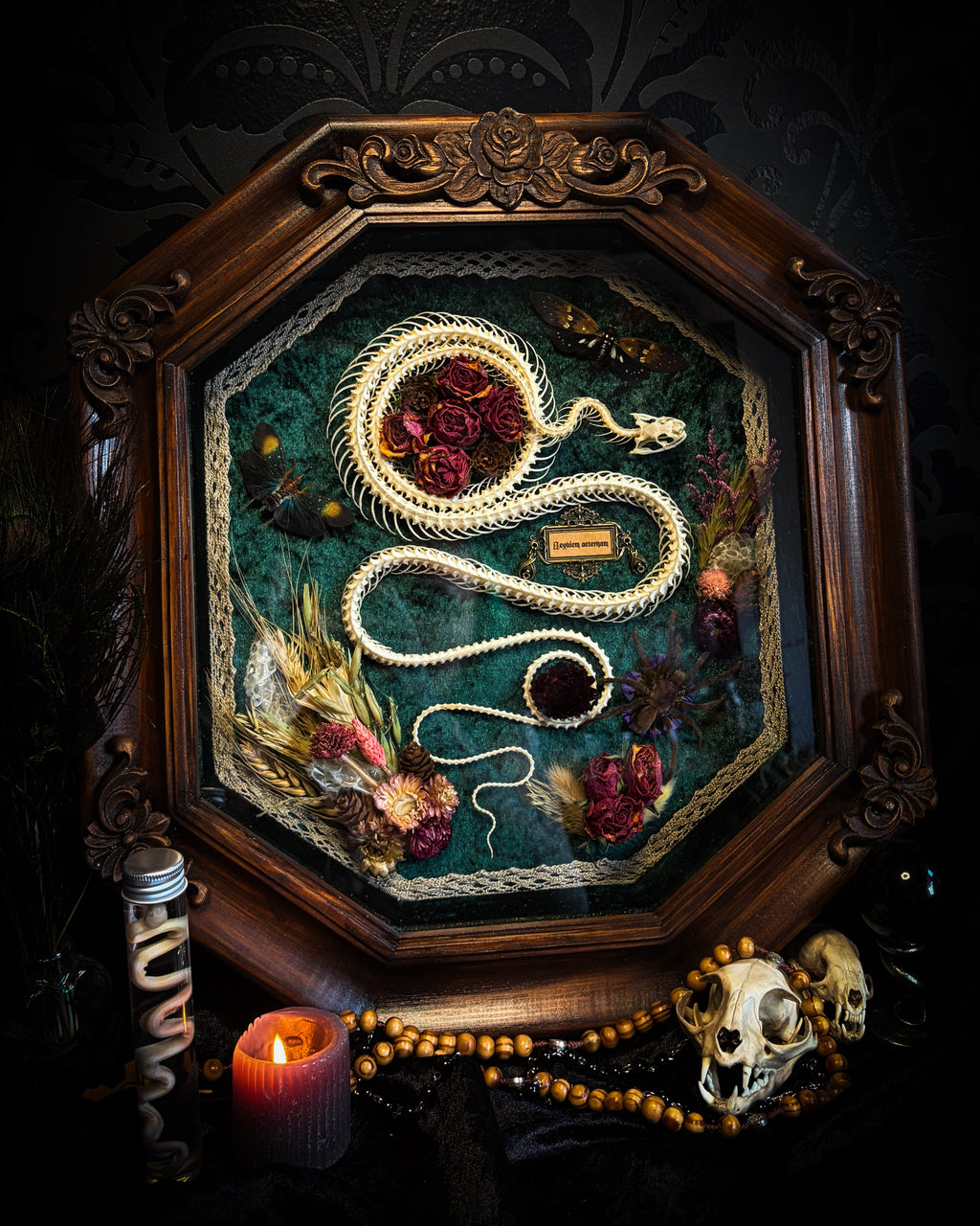 Handmade gothic shadowbox — articulated snake skeleton, preserved tarantula and cicadas, dried roses and botanicals on forest-green velvet, ornate wooden frame