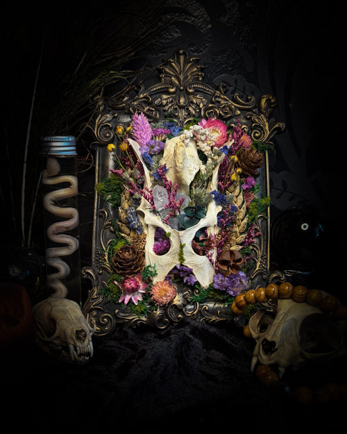Flora Mortis | Whimsical — rabbit pelvis and guinea fowl skull fragment with dried flowers, quartz crystals, moss and pinecones in hand-cast antique gold baroque frame, Morbid Oddities

