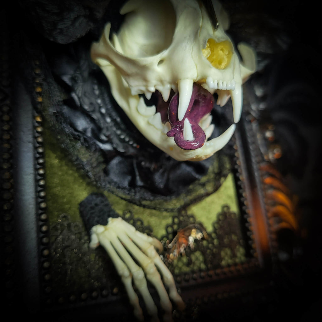 Bunny Kitten — handmade gothic shadowbox, made to order. Real cat skull with preserved bunny ears and paws, set on velvet background in ornate hand-finished frame with lace and decorative details. Dark whimsical collectible decor.