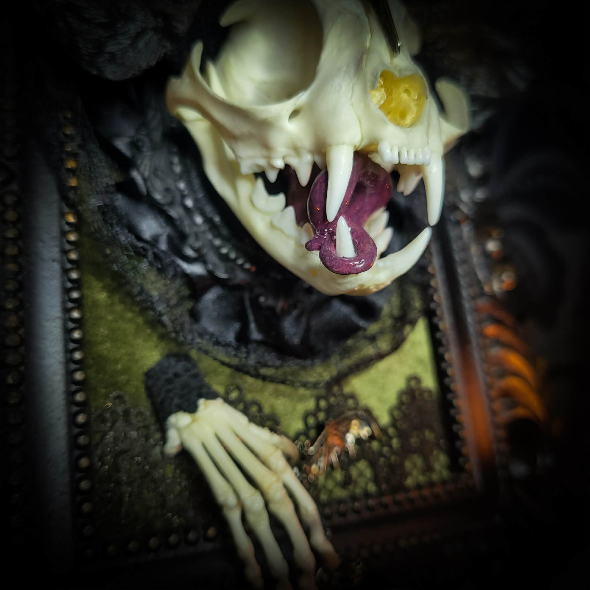 Bunny Kitten — handmade gothic shadowbox, made to order. Real cat skull with preserved bunny ears and paws, set on velvet background in ornate hand-finished frame with lace and decorative details. Dark whimsical collectible decor.