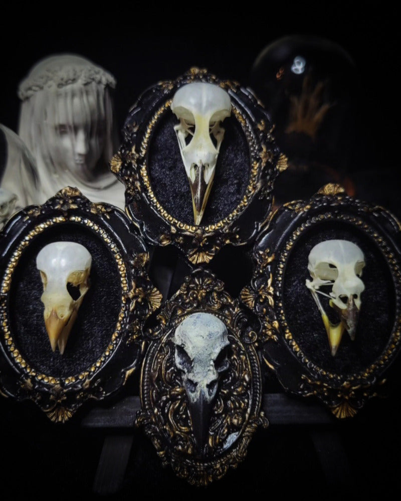 handmade gothic triptych with real bird skulls hand-cast frames black velvet dark macabre wall decor