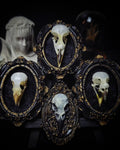 handmade gothic triptych with real bird skulls hand-cast frames black velvet dark macabre wall decor