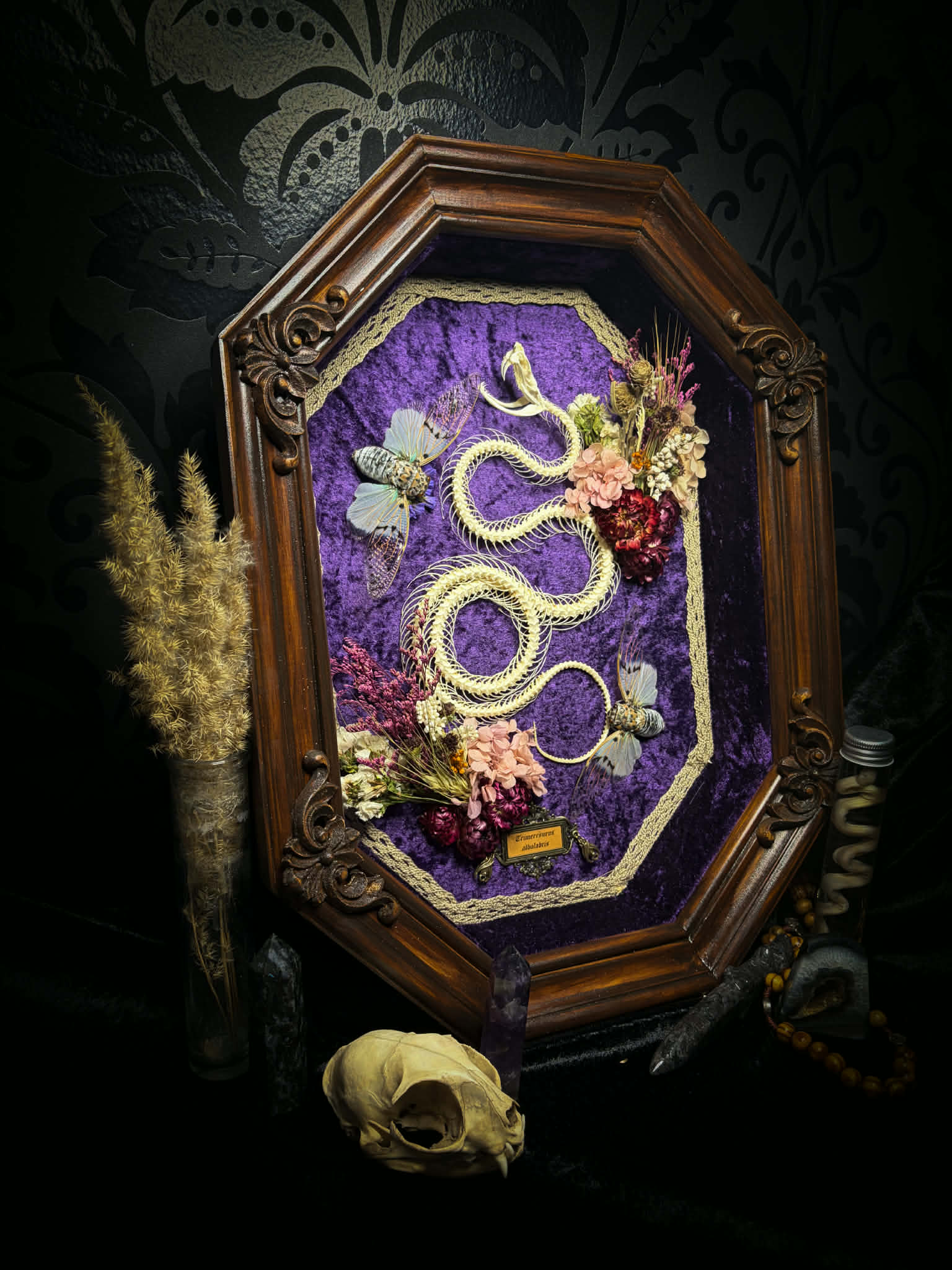 Gothic shadowbox — articulated snake skeleton on deep violet velvet, preserved florals, ghost cicadas, baroque wooden frame with gold accents, 45x35cm