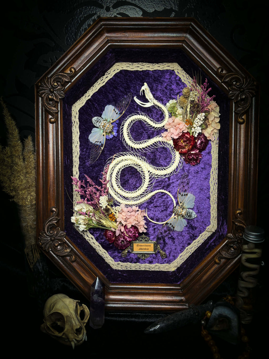 Gothic shadowbox — articulated snake skeleton on deep violet velvet, preserved florals, ghost cicadas, baroque wooden frame with gold accents, 45x35cm