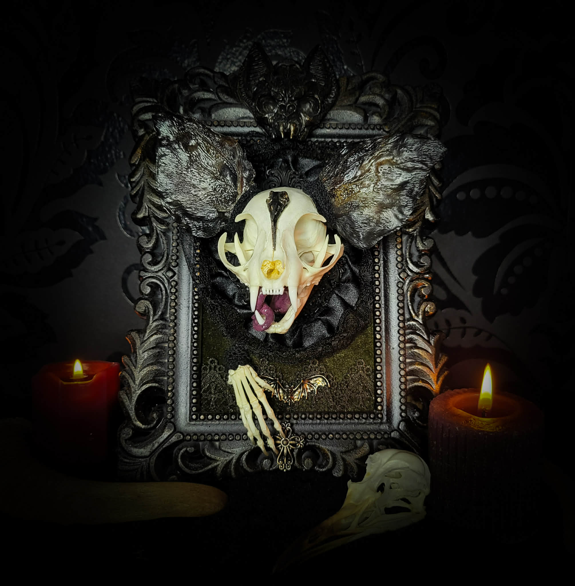 Bunny Kitten — handmade gothic shadowbox, made to order. Real cat skull with preserved bunny ears and paws, set on velvet background in ornate hand-finished frame with lace and decorative details. Dark whimsical collectible decor.