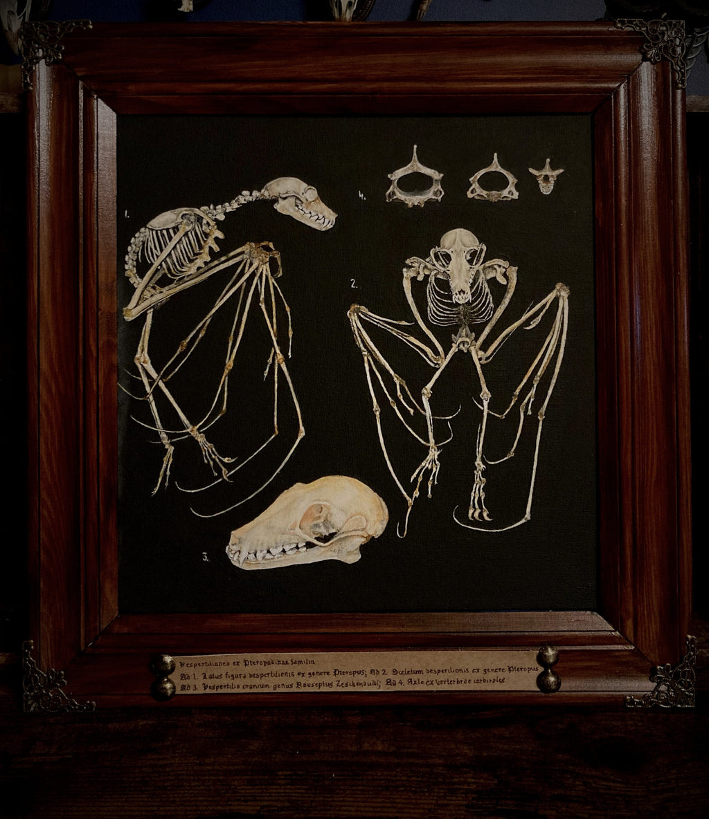 Custom Painting — hand-painted gothic skull and skeleton artwork, made to order. Realistic anatomical painting on canvas in handmade wooden frame, sealed with protective varnish. Original dark art commission by Morbid Oddities.


