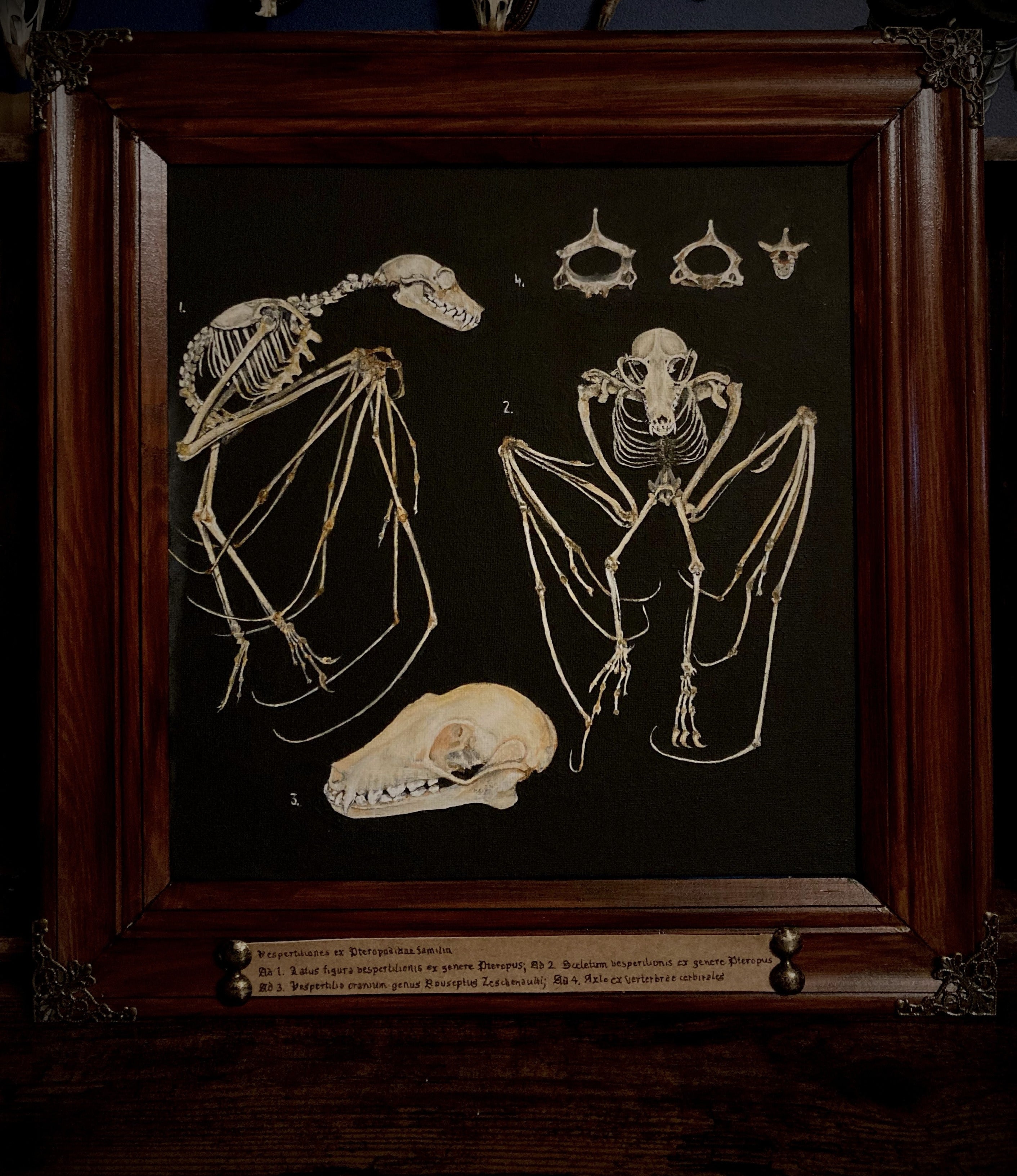 Custom Painting — hand-painted gothic skull and skeleton artwork, made to order. Realistic anatomical painting on canvas in handmade wooden frame, sealed with protective varnish. Original dark art commission by Morbid Oddities.

