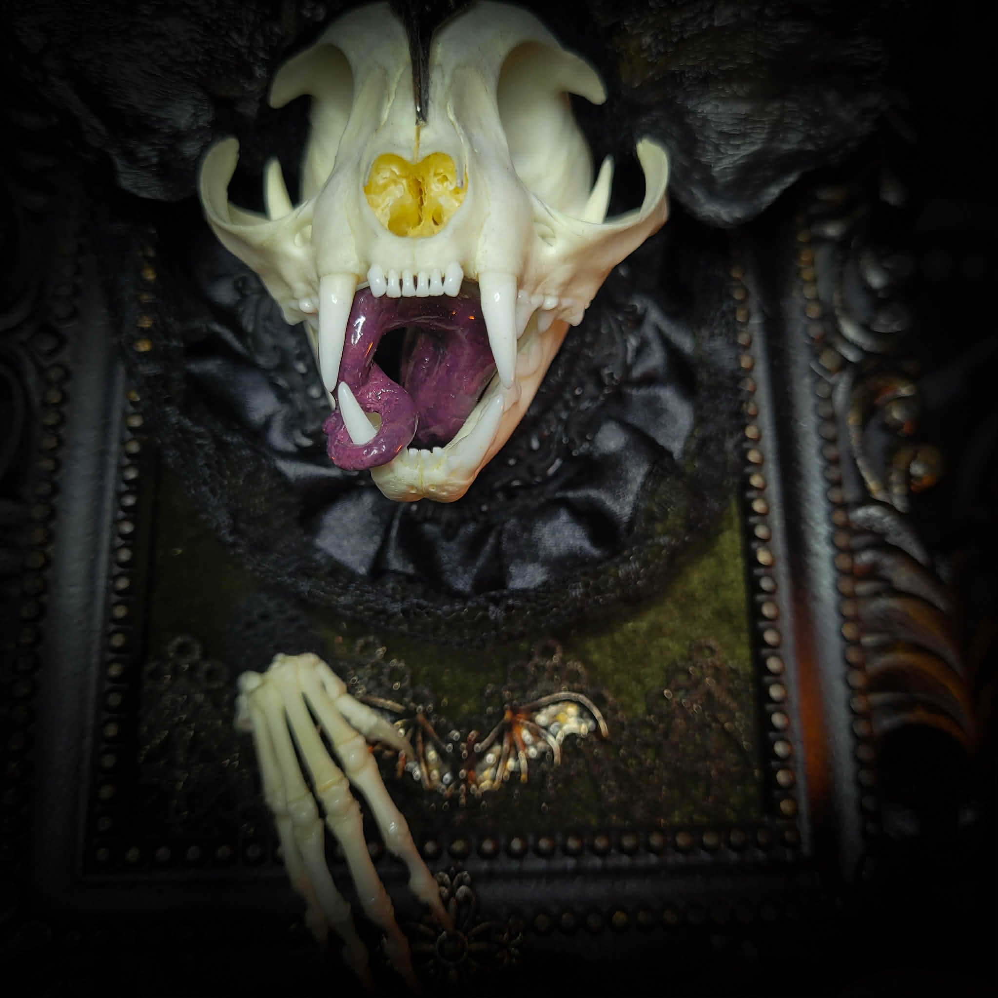 Bunny Kitten — handmade gothic shadowbox, made to order. Real cat skull with preserved bunny ears and paws, set on velvet background in ornate hand-finished frame with lace and decorative details. Dark whimsical collectible decor.