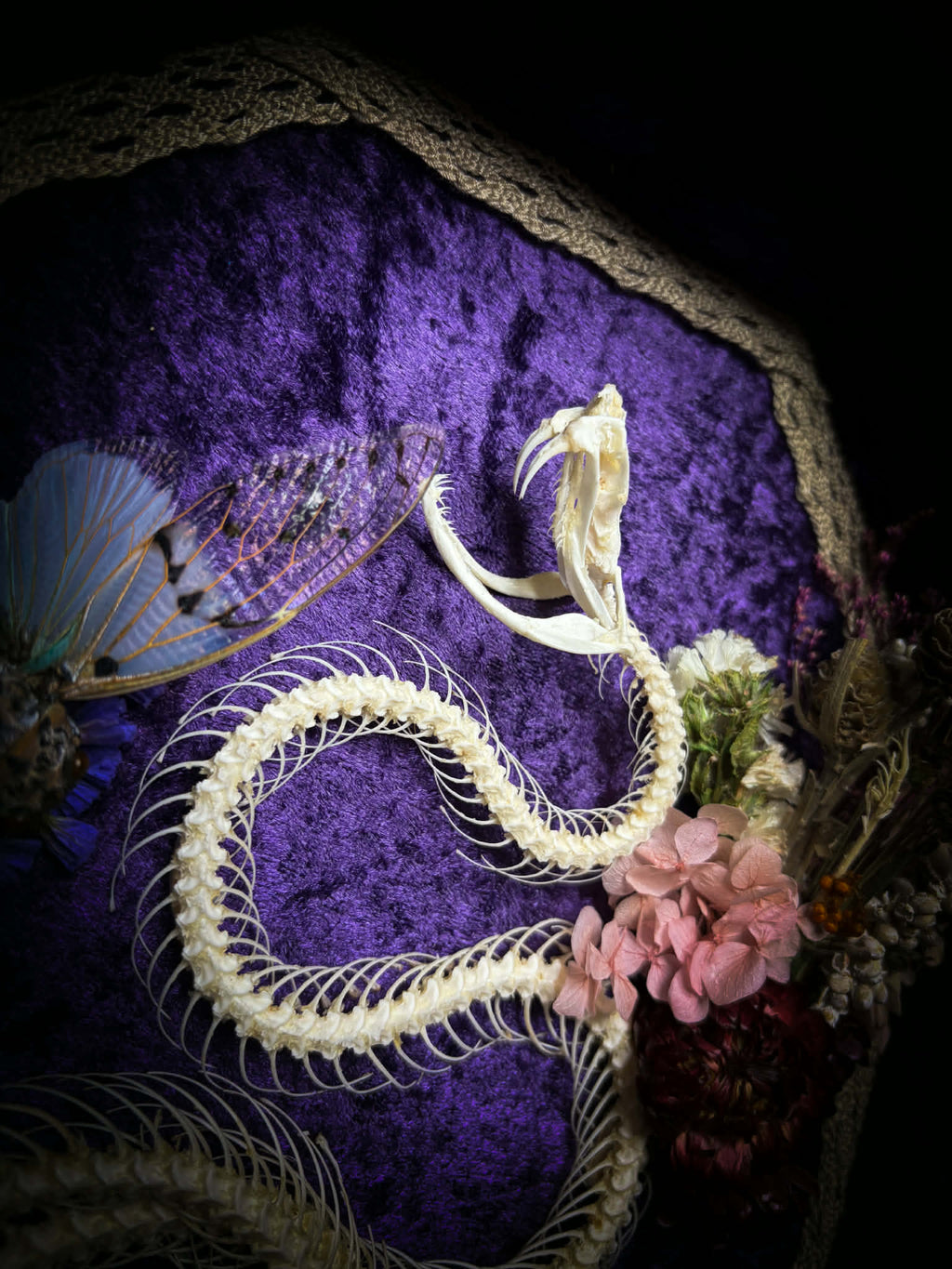 Gothic shadowbox — articulated snake skeleton on deep violet velvet, preserved florals, ghost cicadas, baroque wooden frame with gold accents, 45x35cm