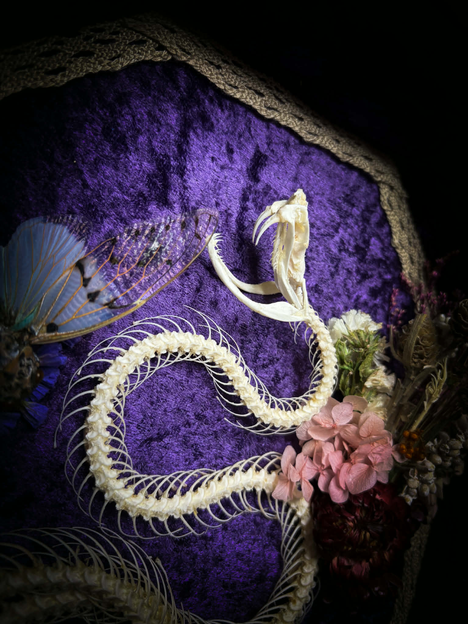 Gothic shadowbox — articulated snake skeleton on deep violet velvet, preserved florals, ghost cicadas, baroque wooden frame with gold accents, 45x35cm